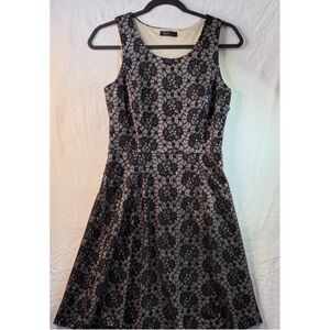 Signature Black Lace Floral Mini Dress